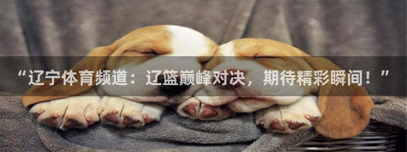 “辽宁体育频道：辽篮巅峰对决，期待精彩瞬间！”