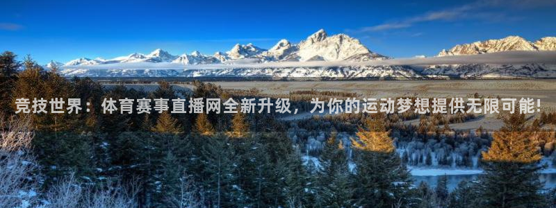 竞技世界：体育赛事直播网全新升级，为你的运动梦想提供无限可能!