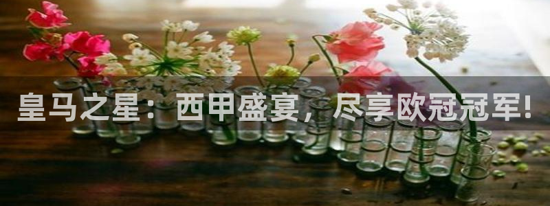 皇马之星：西甲盛宴，尽享欧冠冠军!