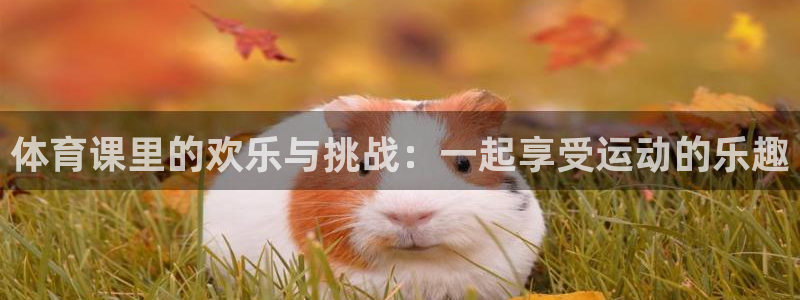 体育课里的欢乐与挑战：一起享受运动的乐趣
