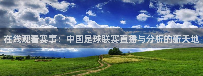 在线观看赛事：中国足球联赛直播与分析的新天地