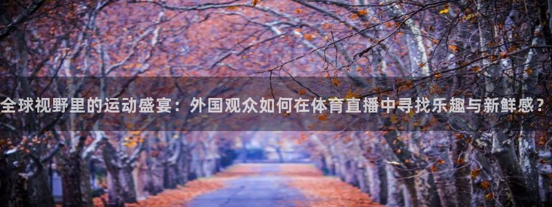 全球视野里的运动盛宴：外国观众如何在体育直播中寻找乐趣与新鲜感？