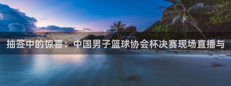 抽签中的惊喜：中国男子篮球协会杯决赛现场直播与