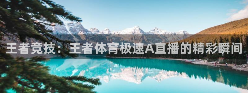 王者竞技：王者体育极速A直播的精彩瞬间