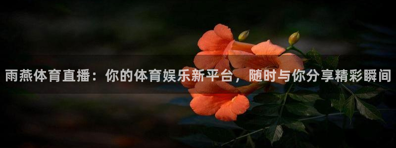 雨燕体育直播：你的体育娱乐新平台，随时与你分享精彩瞬间