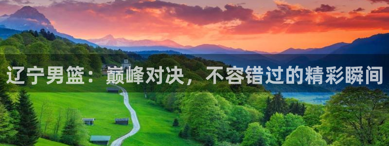 辽宁男篮：巅峰对决，不容错过的精彩瞬间