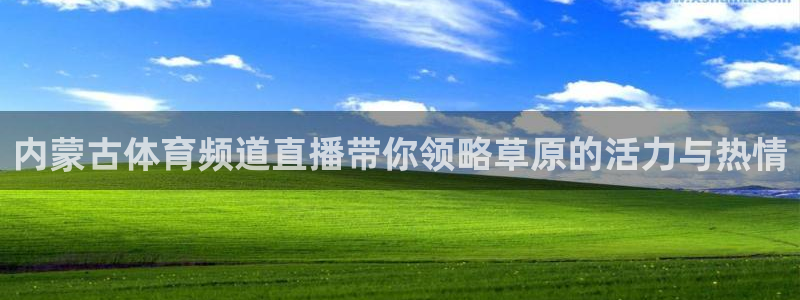 内蒙古体育频道直播带你领略草原的活力与热情