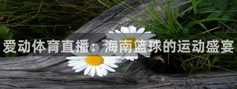 爱动体育直播：海南篮球的运动盛宴