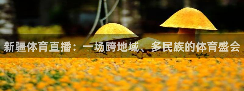 新疆体育直播：一场跨地域、多民族的体育盛会
