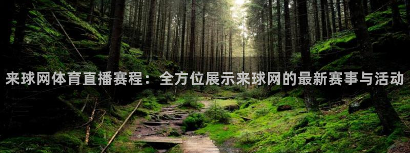 来球网体育直播赛程：全方位展示来球网的最新赛事与活动
