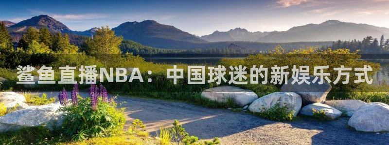 鲨鱼直播NBA：中国球迷的新娱乐方式