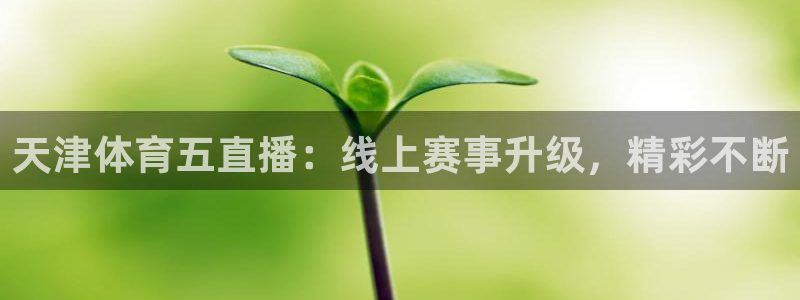 天津体育五直播：线上赛事升级，精彩不断