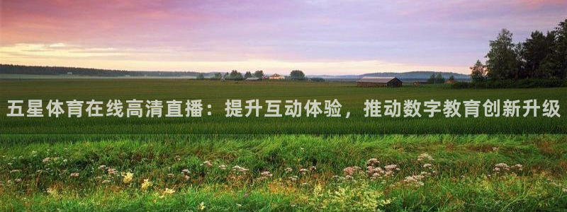 五星体育在线高清直播：提升互动体验，推动数字教育创新升级