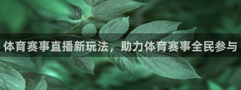体育赛事直播新玩法，助力体育赛事全民参与